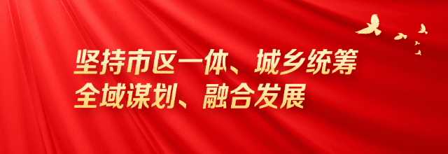东港区安排部署疫情防控工作