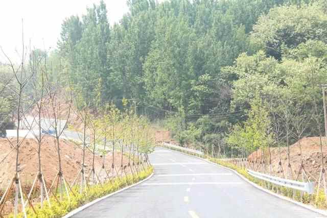 大交通，撑起城市发展新高度——岚山区“以路为网”铺筑发展坦途