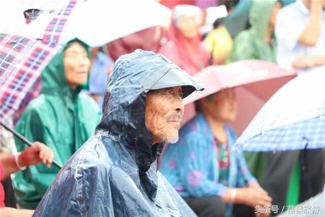 大雨润莒城，秃尾巴老李回莒县老家啦！