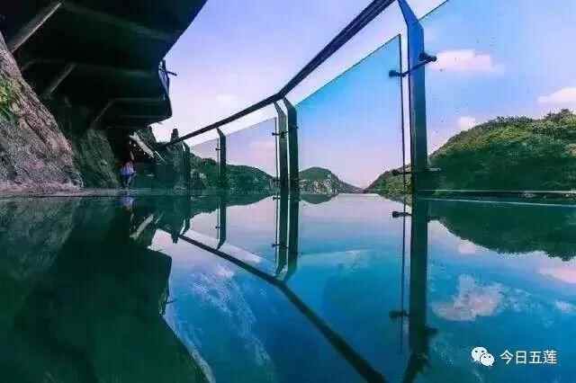 来五莲吧，我“养”你！