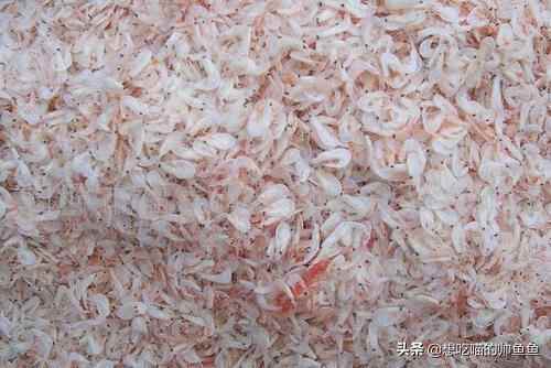 山东日照美食集锦