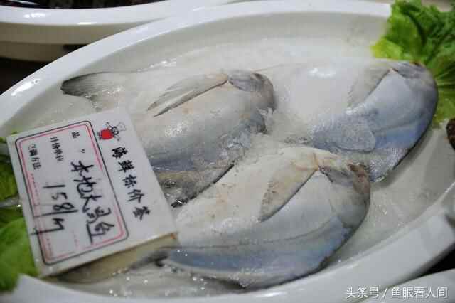 日照岚山海鲜楼点菜间无意中露出海鲜丰富 这里海鲜能让你吃到撑
