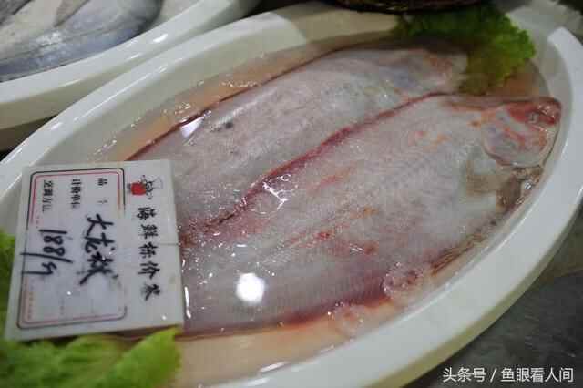 日照岚山海鲜楼点菜间无意中露出海鲜丰富 这里海鲜能让你吃到撑