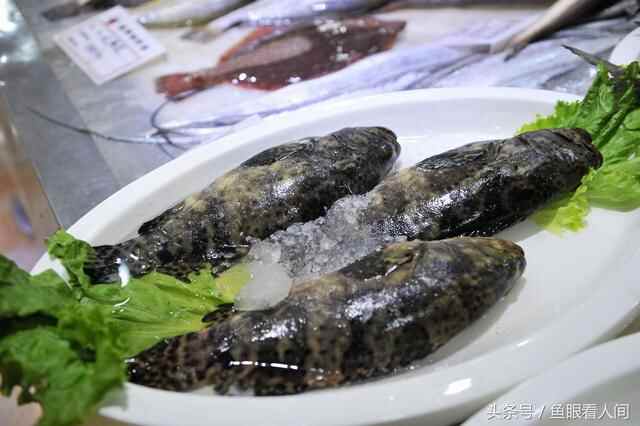 日照岚山海鲜楼点菜间无意中露出海鲜丰富 这里海鲜能让你吃到撑