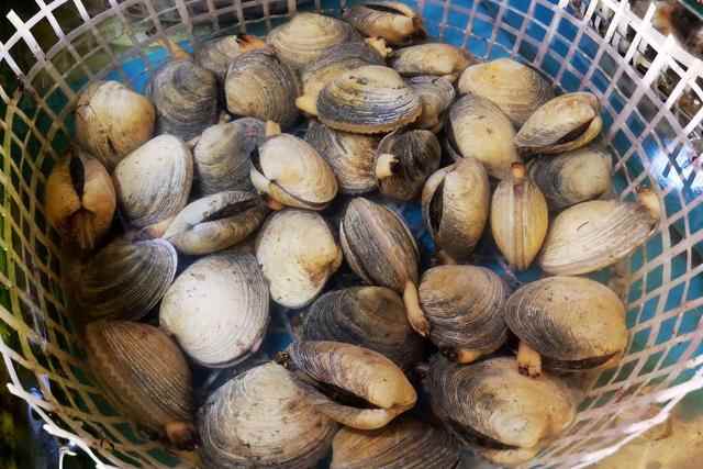 寻味日照 | 这一波儿美食，来日照你一定要尝尝