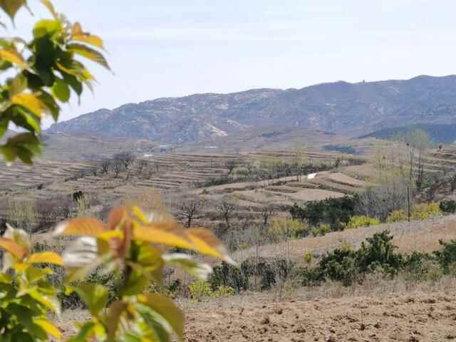 五莲天路自驾免费游，梯田古村美食，湖光山色美（附路线攻略）