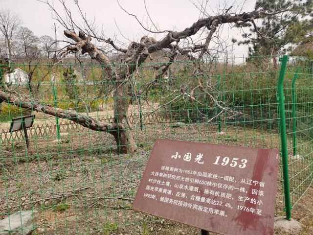五莲天路自驾免费游，梯田古村美食，湖光山色美（附路线攻略）