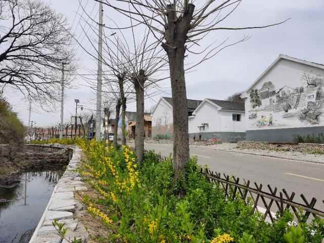 五莲天路自驾免费游，梯田古村美食，湖光山色美（附路线攻略）