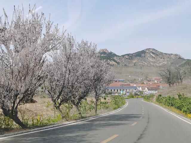 五莲天路自驾免费游，梯田古村美食，湖光山色美（附路线攻略）