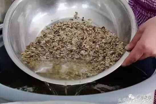 寻味东港：难忘涛雒的两碗面！