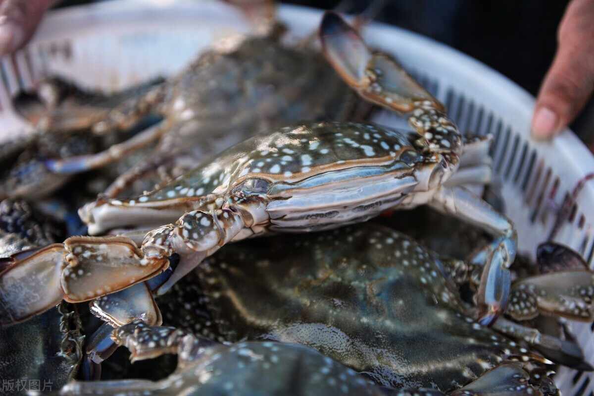 丹东十大特色美食小吃 丹东特色小吃排行榜 丹东必吃美食有哪些