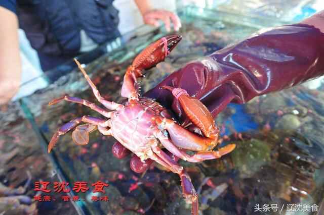 随拍丹东东港海鲜批发市场，螃蟹大虾都是主角，现蒸鲜吃
