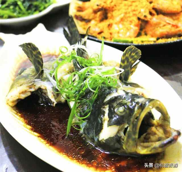 日照美食好吃的饭店，这五家回头客超多，人气旺盛的餐厅绝对好评