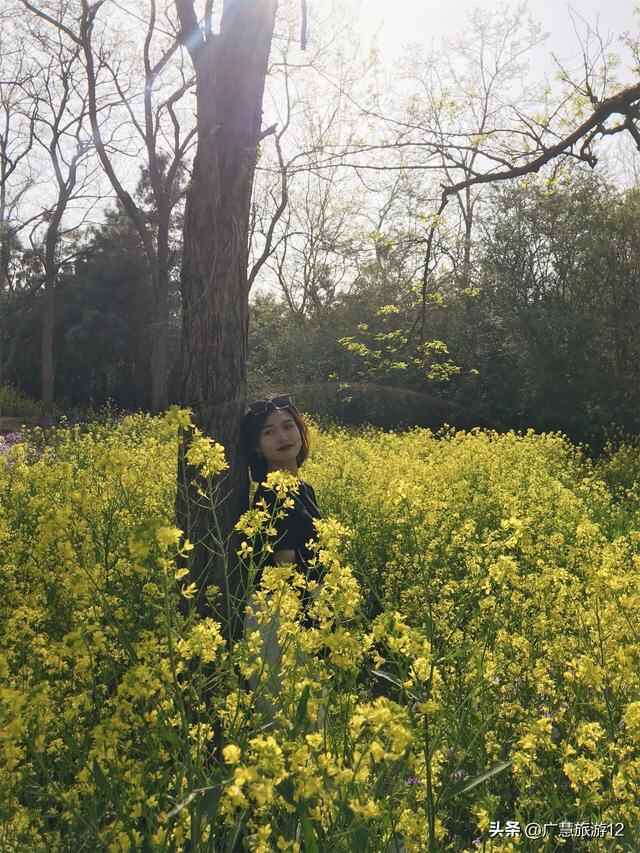 日照旅游——超值的美食攻略