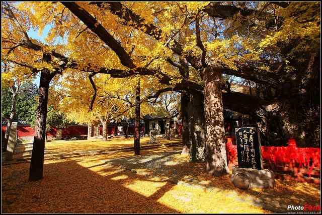 我爱齐鲁福山寿地莒县浮来山