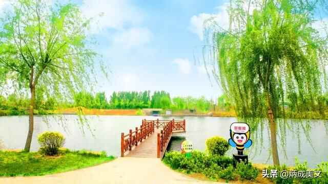 这个五一哪里玩？莒县嗡嗡乐园，满足您所有的想象～～～～