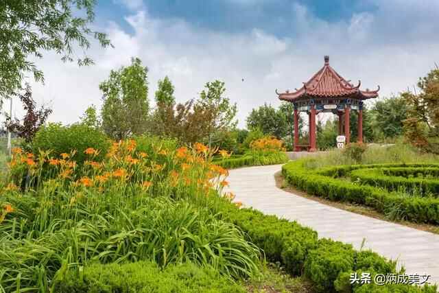 这个五一哪里玩？莒县嗡嗡乐园，满足您所有的想象～～～～