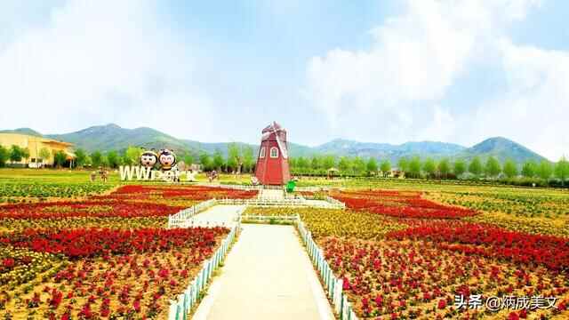 这个五一哪里玩？莒县嗡嗡乐园，满足您所有的想象～～～～