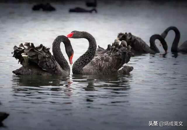 这个五一哪里玩？莒县嗡嗡乐园，满足您所有的想象～～～～