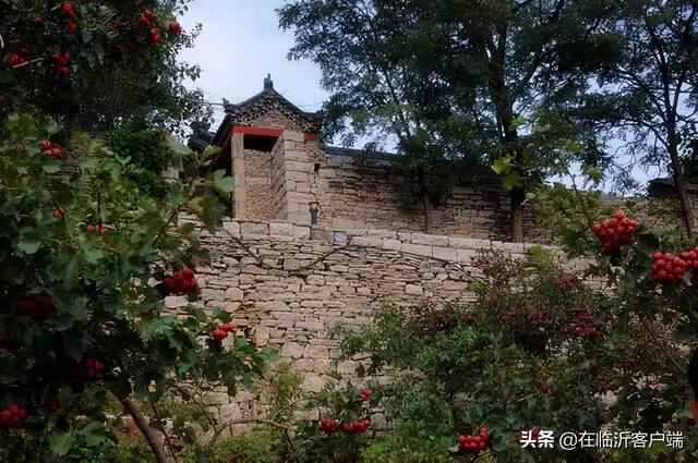 临沂秋果采摘地图来啦！苹果、板栗、柿子……都熟了，快去采摘尝鲜吧