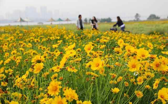 外眼看山东丨新华社关注山东：人人都说沂蒙山好，究竟好在哪