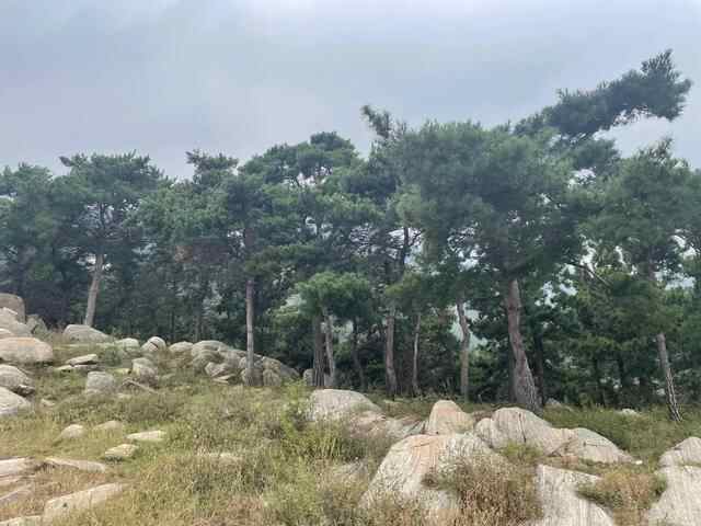 国庆节平邑大洼一日游
