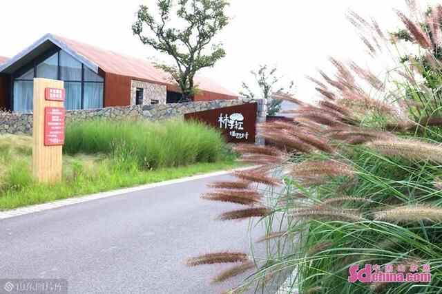 乡村好时节｜沂南朱家林：农旅融合，共建共享，打造“三生三美”新田园