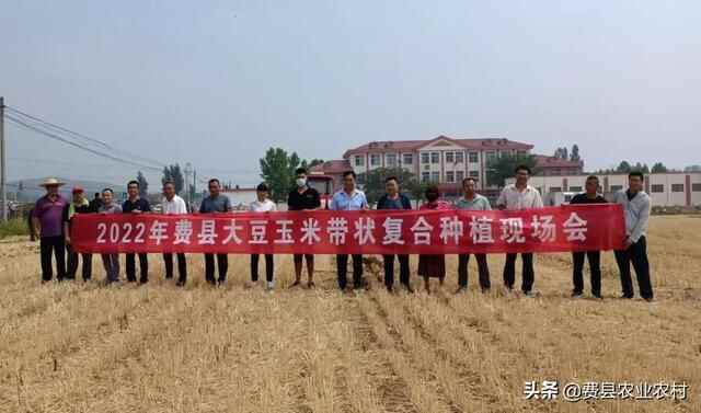 “我为群众办实事”——费县召开2022年大豆玉米带状复合种植现场会