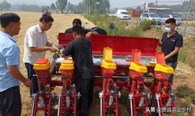“我为群众办实事”——费县召开2022年大豆玉米带状复合种植现场会