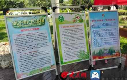 临沂市兰山区首届“森林文化周”宣传，“人与自然和谐共生”