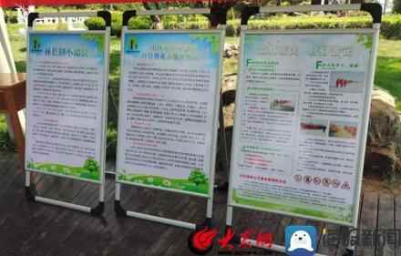 临沂市兰山区首届“森林文化周”宣传，“人与自然和谐共生”