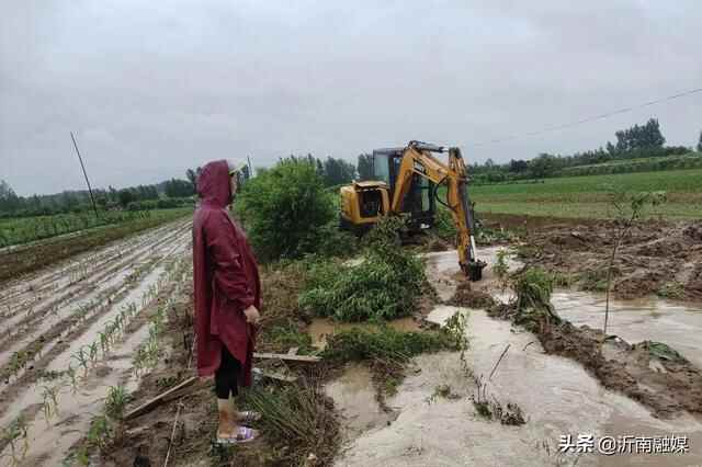 临沂沂南：积极应对强降雨 筑牢防汛“安全网”
