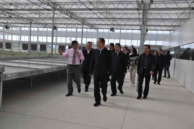 临沂市乡村振兴现场推进会——走进兰陵县