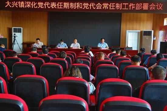临沭县大兴镇：召开深化党代表任期制和党代表常任制工作部署会议