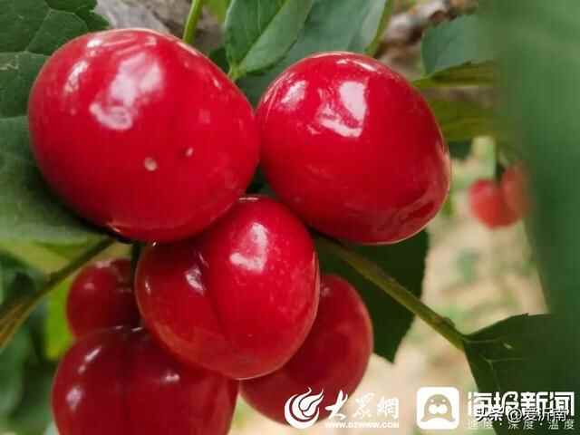 这就是——临沂沂南