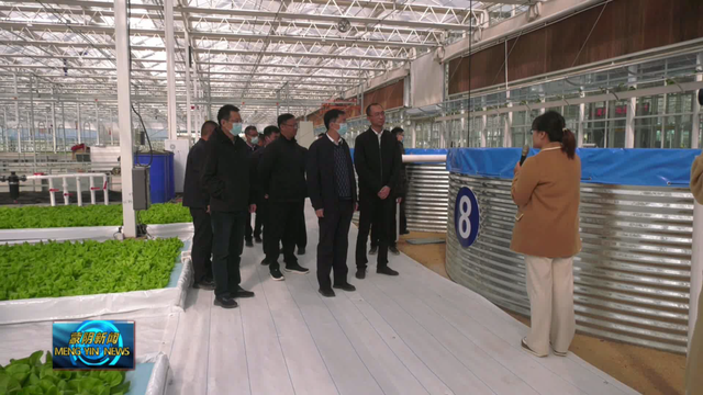 苗运全调研蒙阴县乡村振兴重点项目建设工作