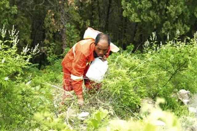 今天我出镜｜山东省临沂市蒙阴县李作玉：我护青山多翠绿
