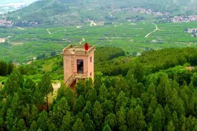 今天我出镜｜山东省临沂市蒙阴县李作玉：我护青山多翠绿