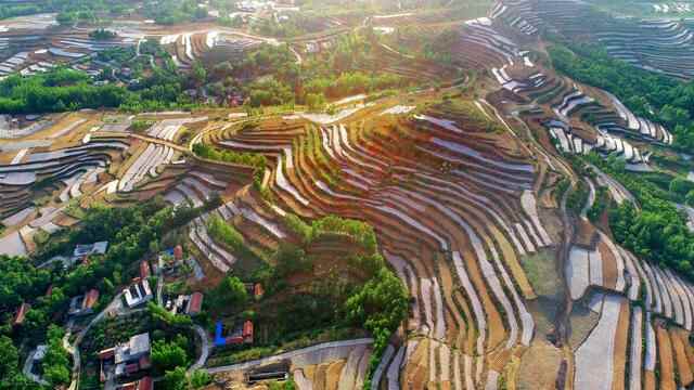 齐鲁大地之临沂（人口分布情况）：兰山区184万人，兰陵县110万人