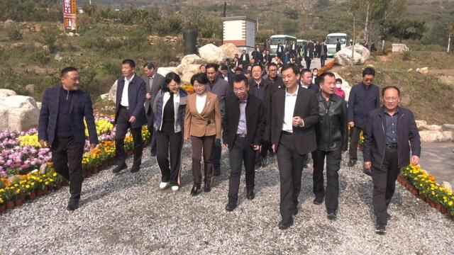 全市乡村振兴观摩会与会人员到蒙阴县观摩