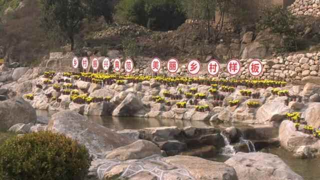 全市乡村振兴观摩会与会人员到蒙阴县观摩