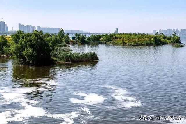 临沂获全国第13名！2022全国城市传播百强榜揭晓