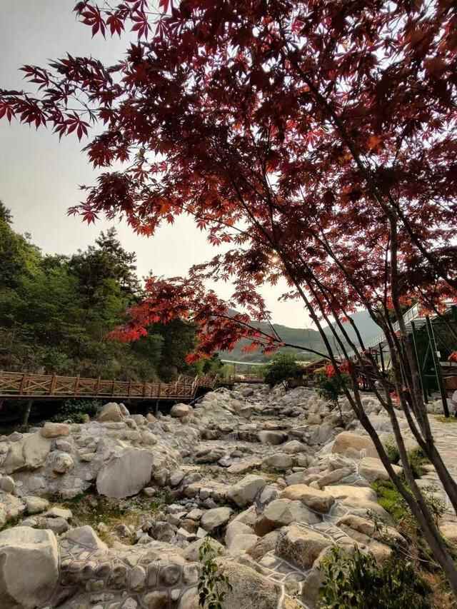 若旅行，一定要逛逛蒙阴