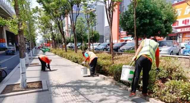 创城快报！沂河路主线高架路全线贯通，罗庄区开设5个出入口……