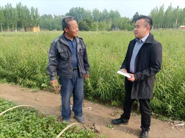 点赞！罗庄区各级各部门“讲故事、学理论”的落脚点都放在了推进工作上……
