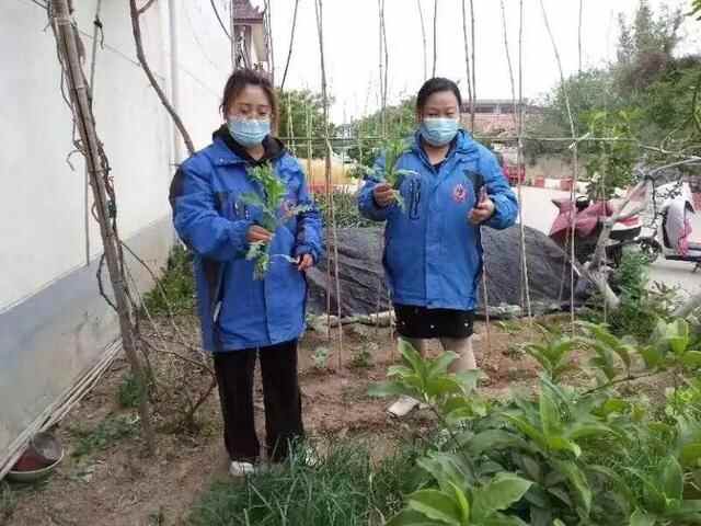 点赞！罗庄区各级各部门“讲故事、学理论”的落脚点都放在了推进工作上……