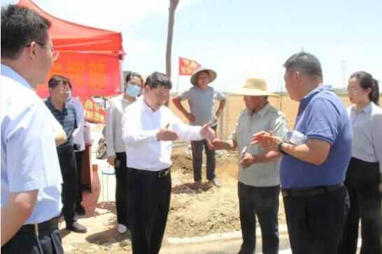 兰陵县委书记王康亮一行到新兴镇调研“三夏”生产工作