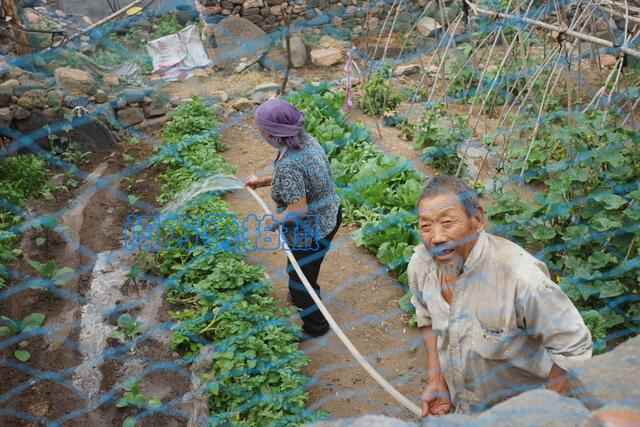 乐行沂水：正峪**庄慢生活是一盏牛眼里的煤油灯