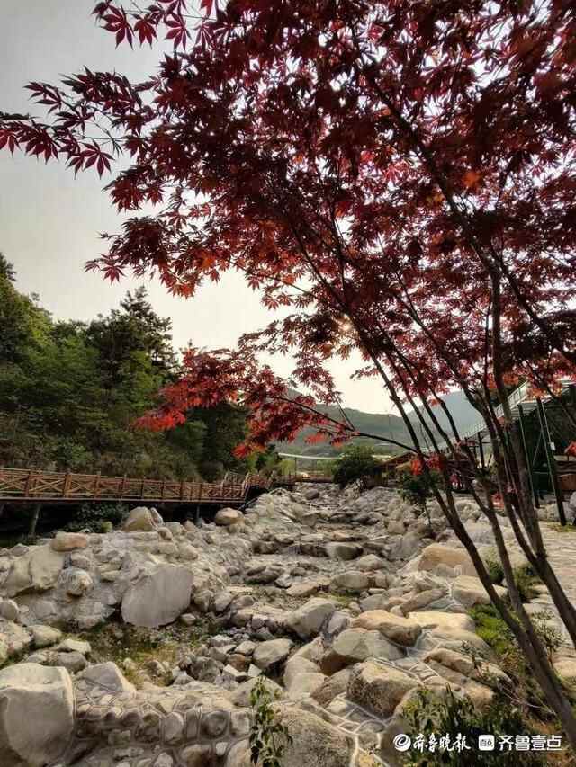 敞开蒙阴南大门，垛庄镇为游客安排了一场乡村游“盛宴”