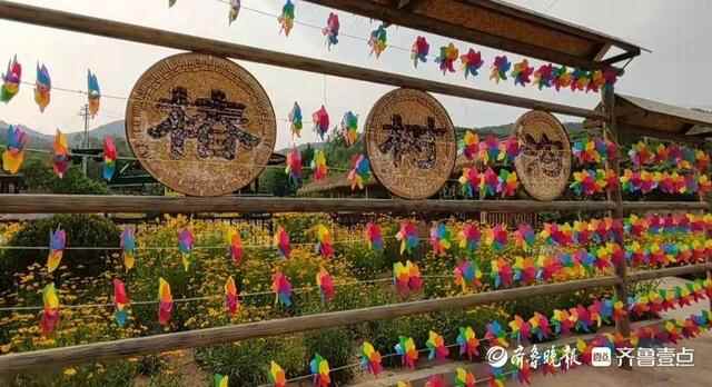 敞开蒙阴南大门，垛庄镇为游客安排了一场乡村游“盛宴”